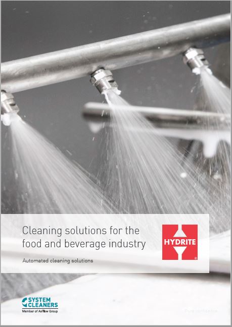 System Cleaners Flyer