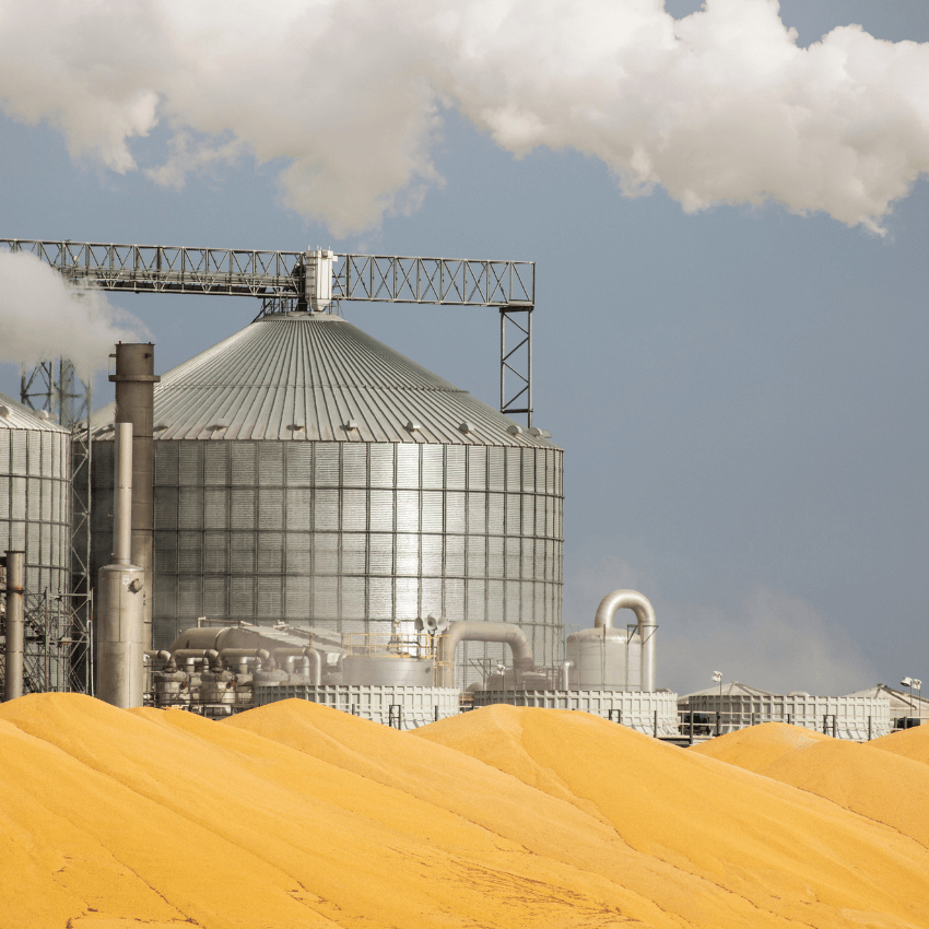 Biofuels & Ethanol Fermentation