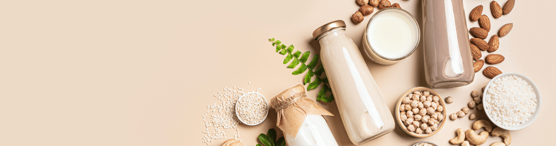Plant Based Milks