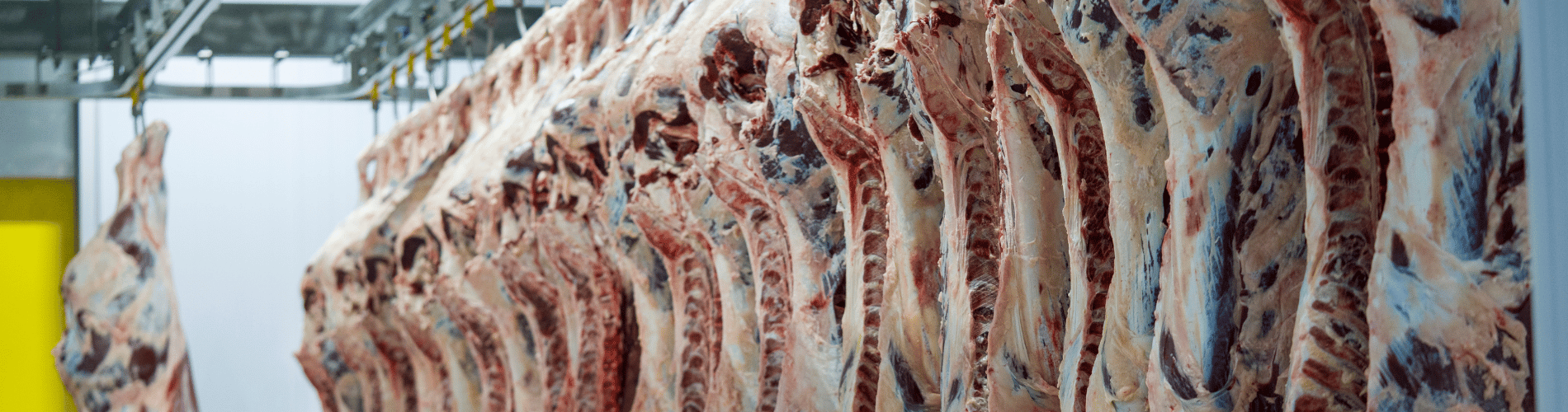 Meat hanging on hook