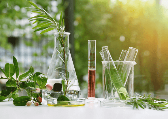 Lab Services and Technical Support